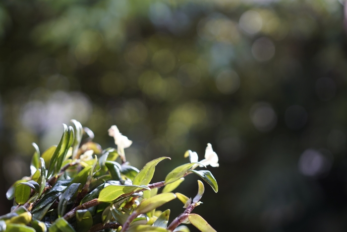 afa5b28f40f2e9e9335b9d6d500f039bu5