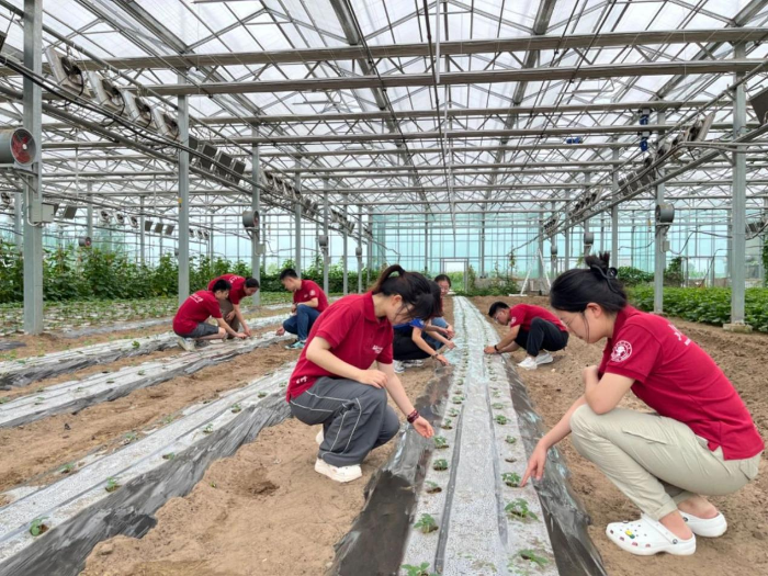 科左后旗供销社“内蒙古左后水稻科技小院”揭牌成立2