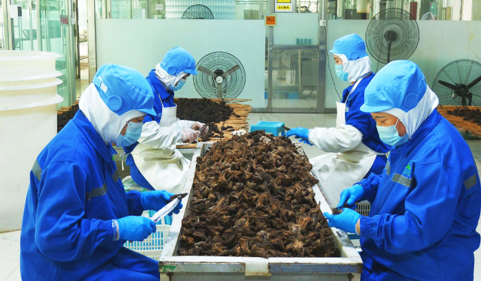 奈曼旗供销社芥菜经济激发夏日消费活力2