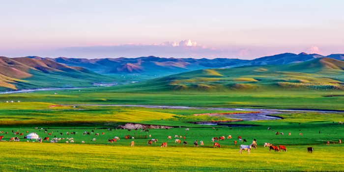 内蒙古阿鲁科尔沁草原一瞥杨卫东摄