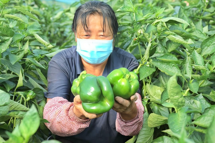 微信图片_2025-08-26_143251_370