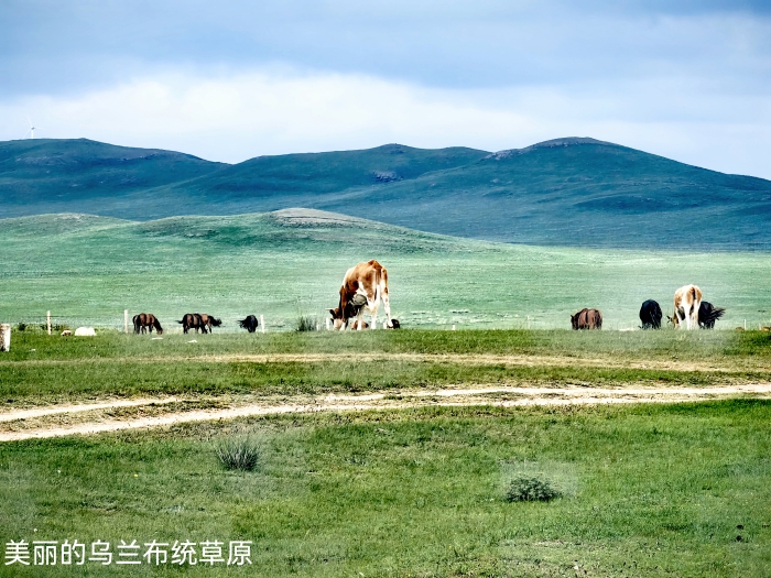 微信图片_20250430155140