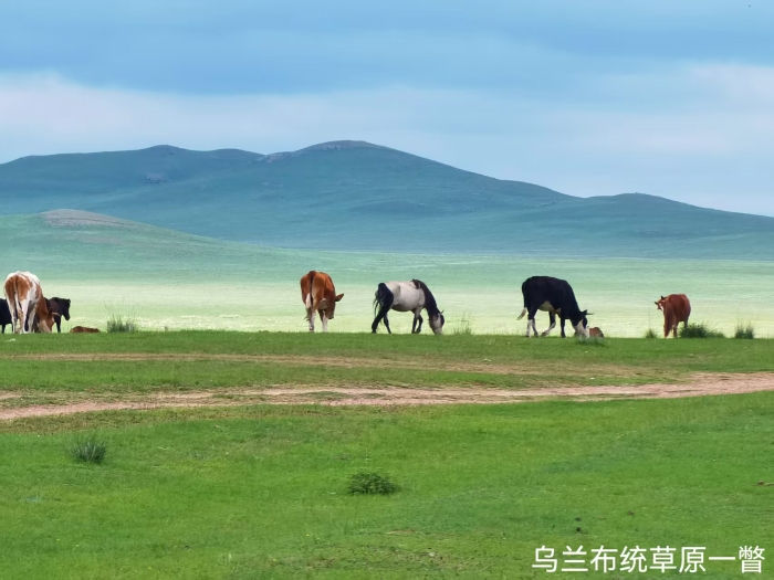 微信图片_20250430155207