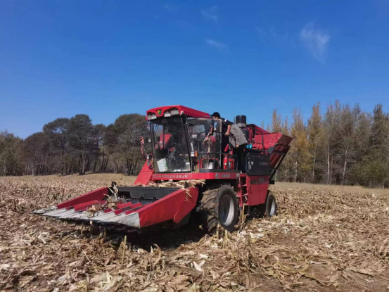 通辽市库伦旗供销社“农机调度+收储护航”双线发力 筑牢秋粮丰收保障网