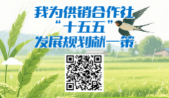 我为供销合作社“十五五”发展规划献一策