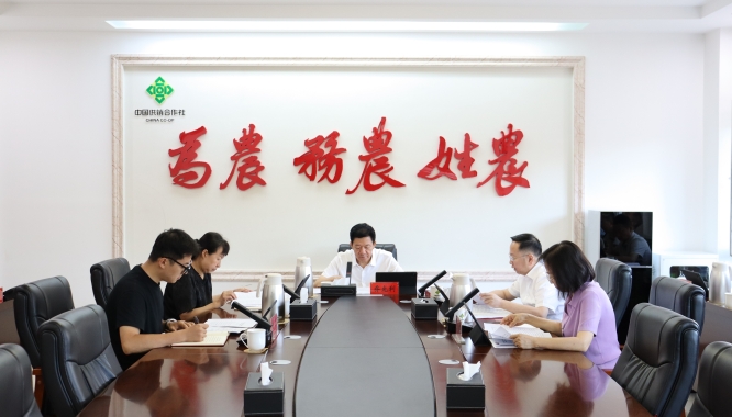 自治区供销合作社联合社召开直属系统树立和践行正确政绩观学习教育总结会议